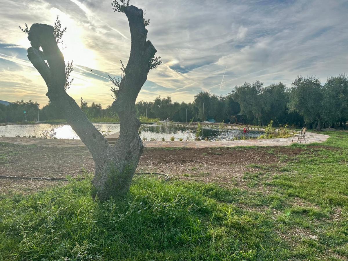 Biorussi Farm stay Carpino